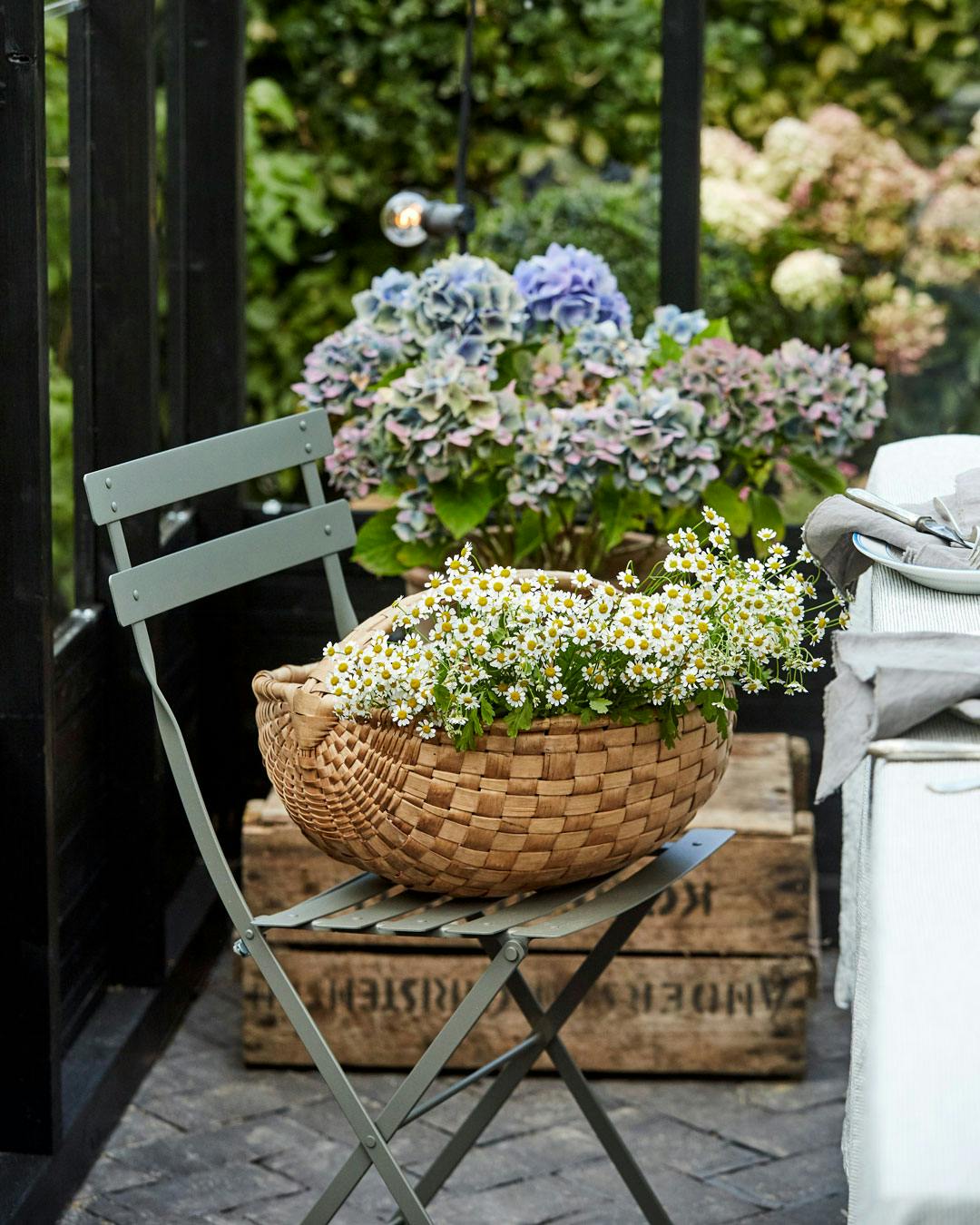 Indretning af orangeri og drivhus- blomster i kurv