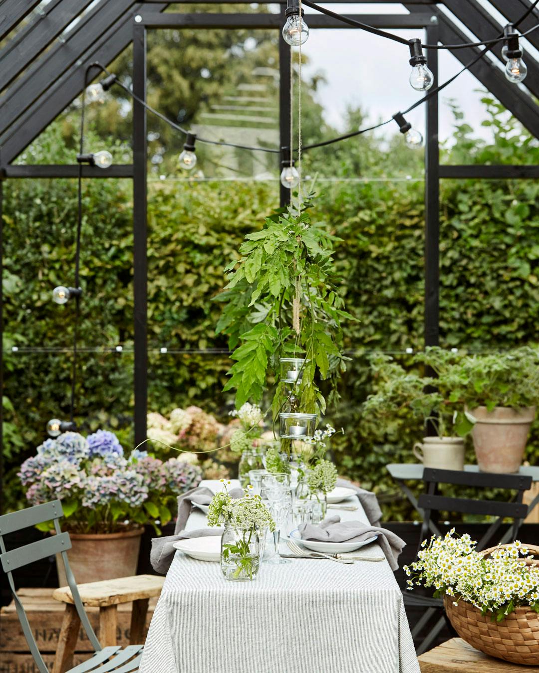 Indretning af orangeri og drivhus - festdækket bord