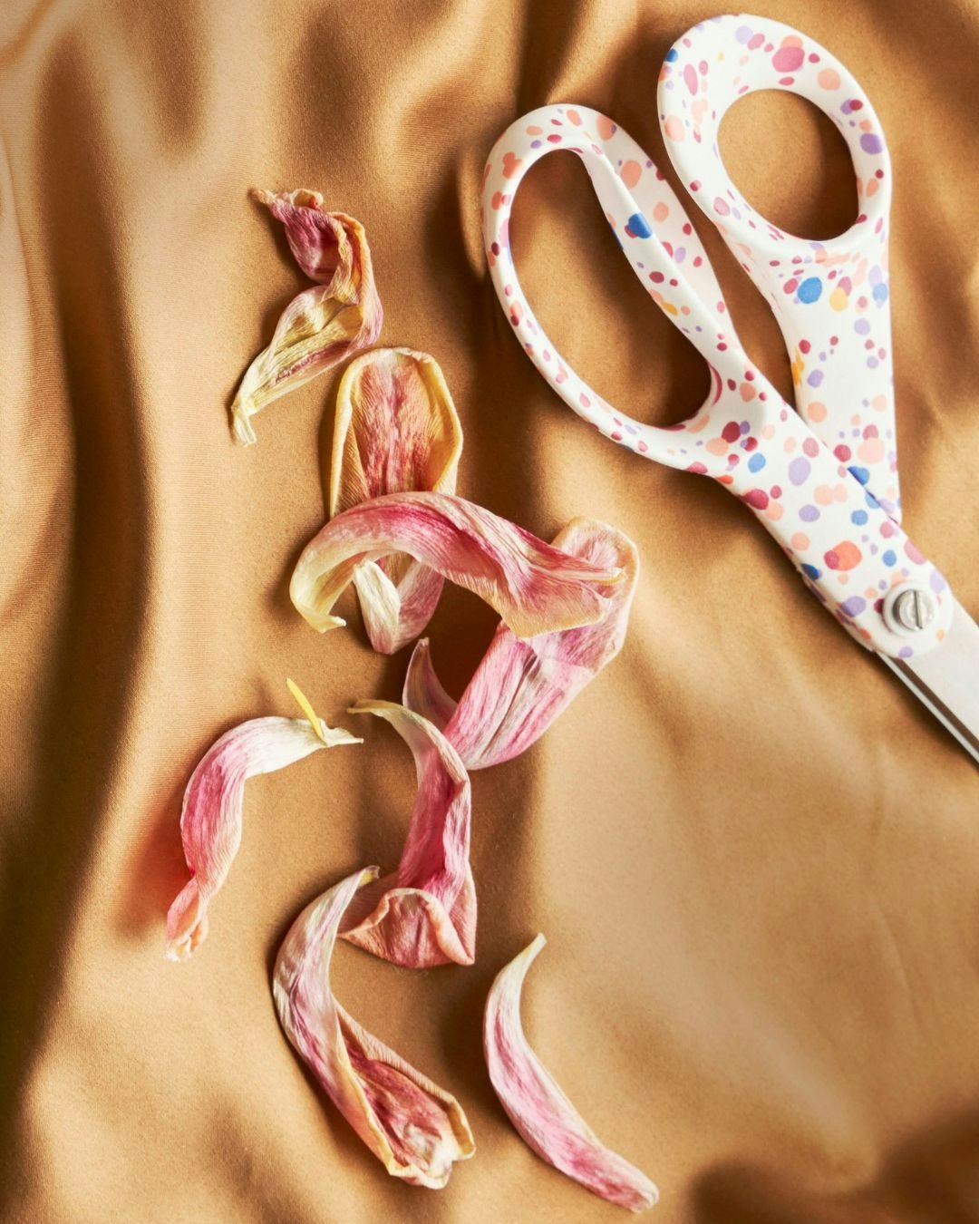 plantetryk_silke_maker