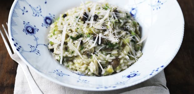 Risotto med svampe