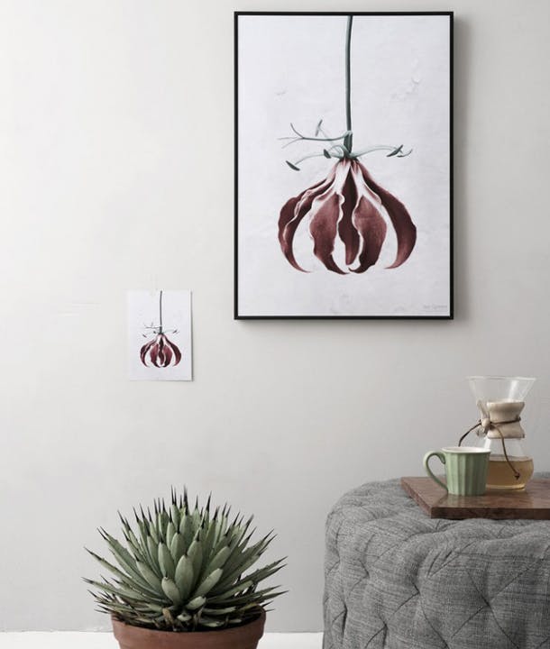 Plakater 