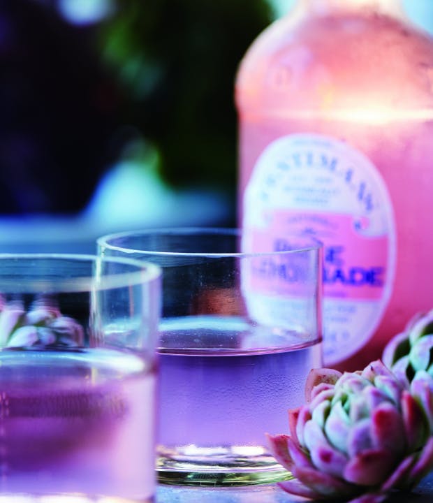 Den bedste gin og tonic!