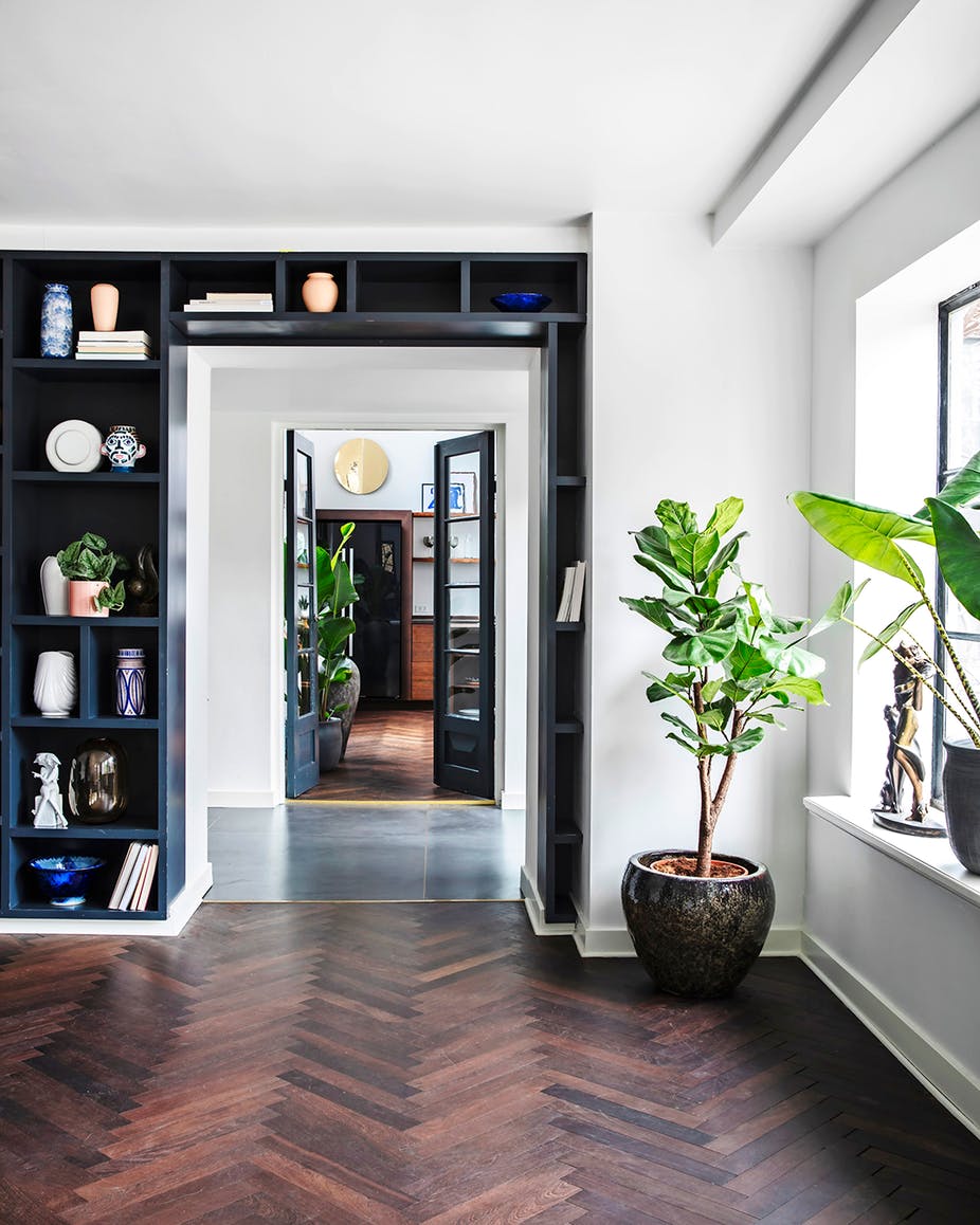 stueplanter_groenne_store_violinfigen_