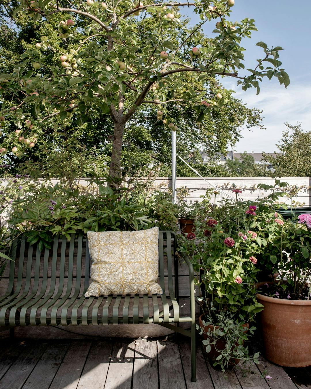 tagterrasse_baenk_hay_aebletrae_inspiration