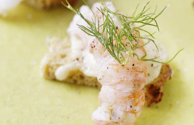 Tapas med fisk - jomfruhummer