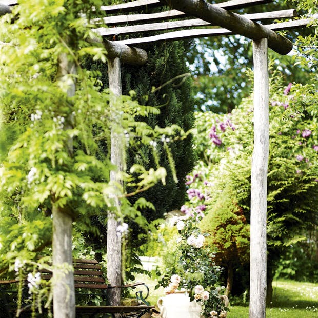 Find 10 smukke planter til din pergola her.