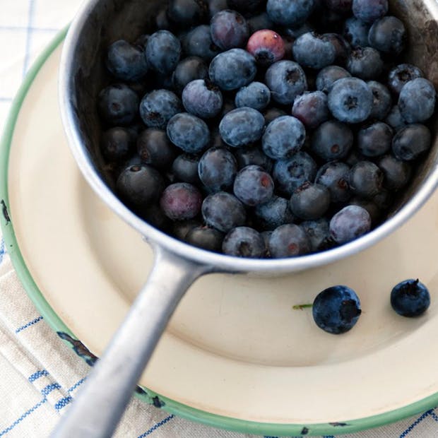 De bedste opskrifter med blåbær