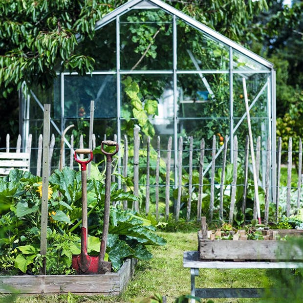 10 tips til sommerdrivhuset