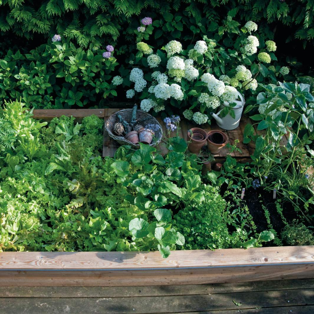 Gøremål i haven i uge 26.