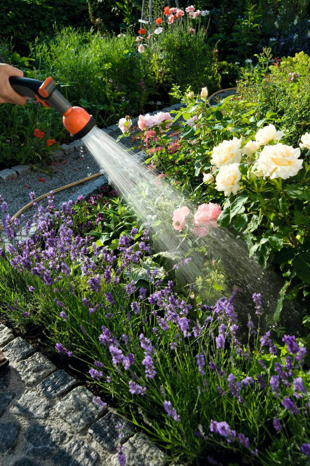 Tips til vanding af haven