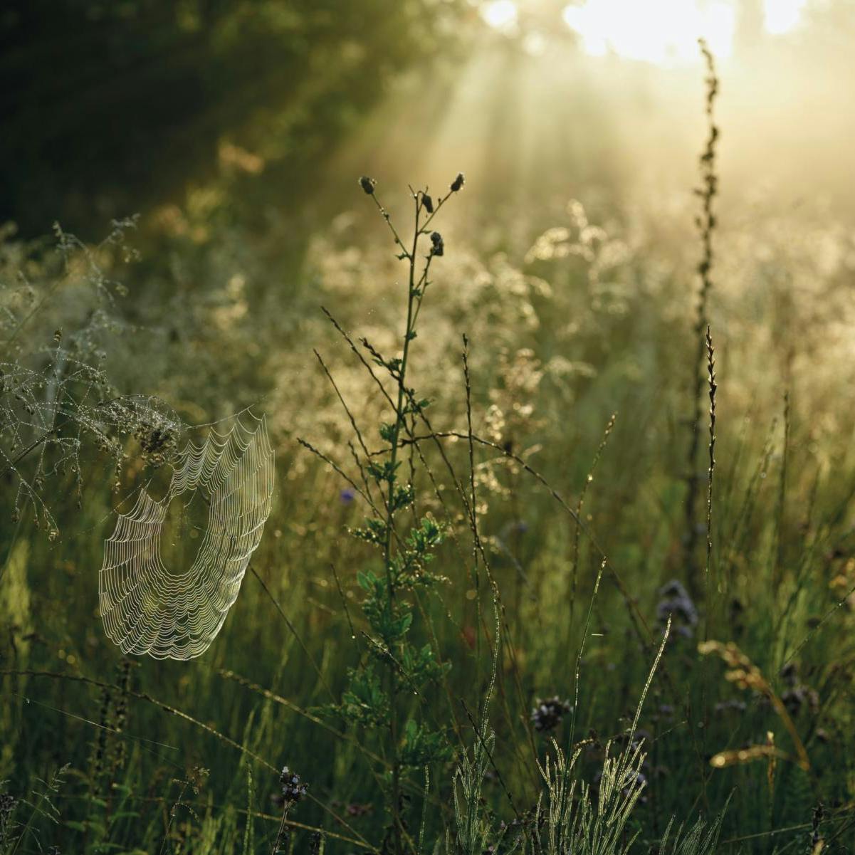 Gøremål i vinterkulden.