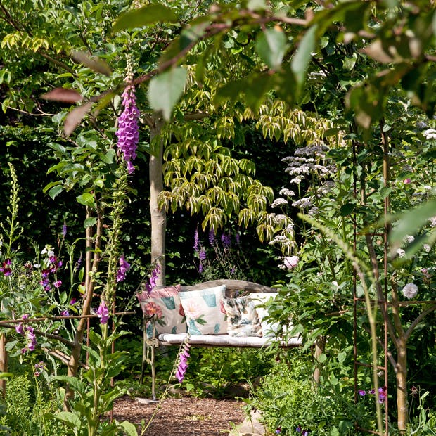 Guide: 7 af havens giftige planter