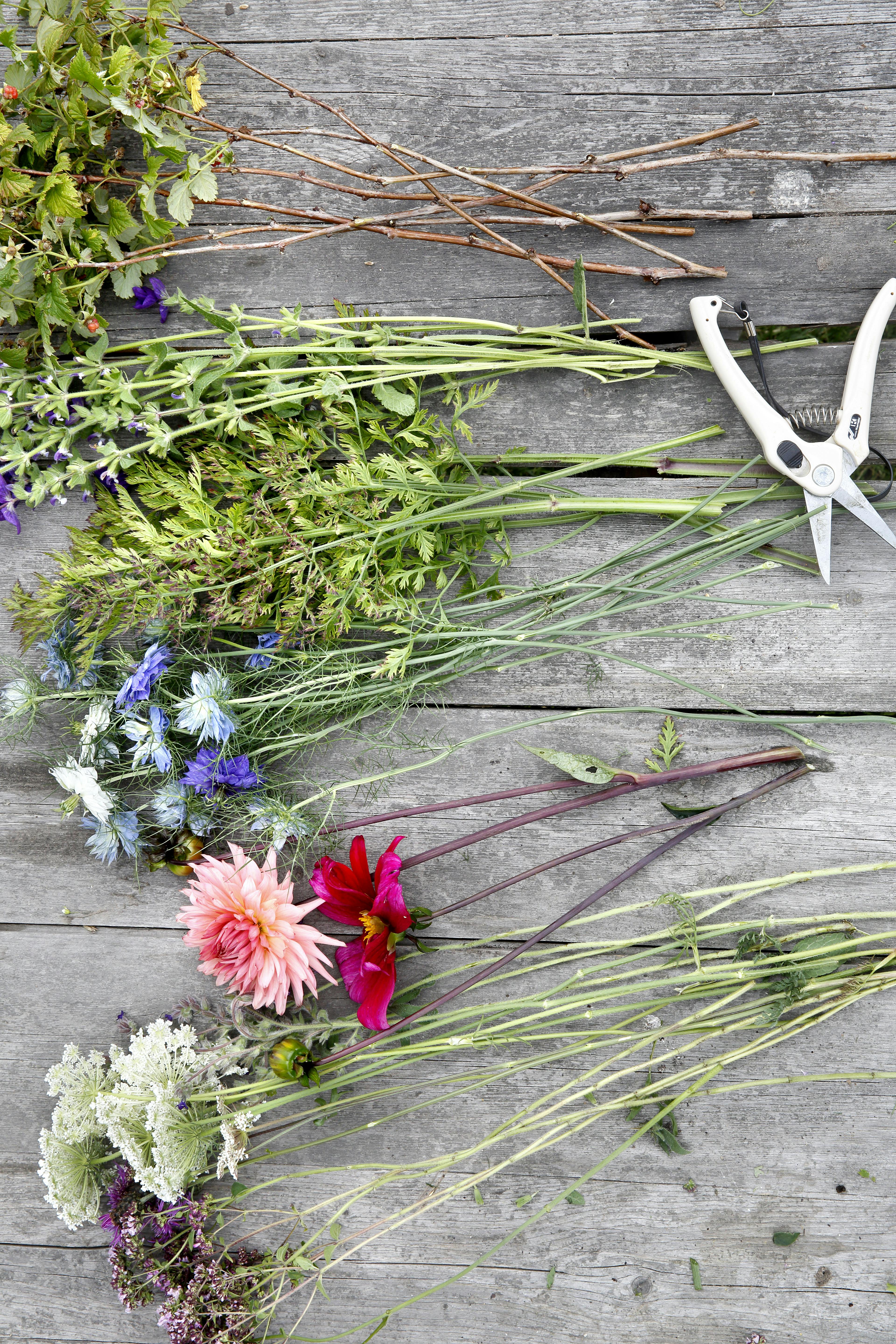 Vilde blomster fra selv-pluk