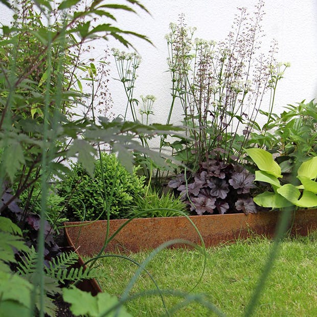 guide til at anlægge et skyggebed og til planter og buske der trives i skyggen