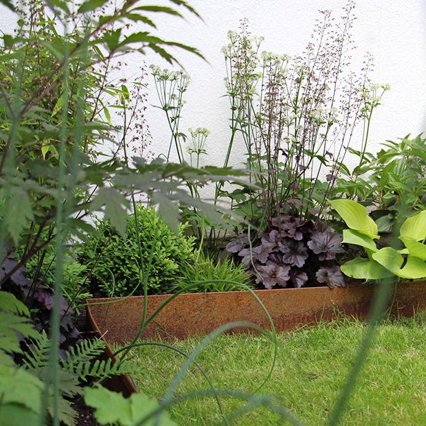 guide til at anlægge et skyggebed og til planter og buske der trives i skyggen