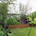 guide til at anlægge et skyggebed og til planter og buske der trives i skyggen