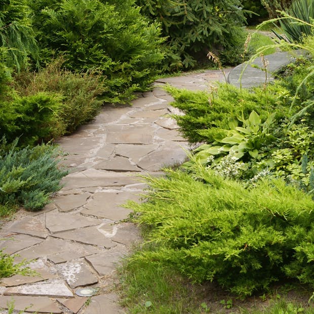 Anlæg gangsti i haven