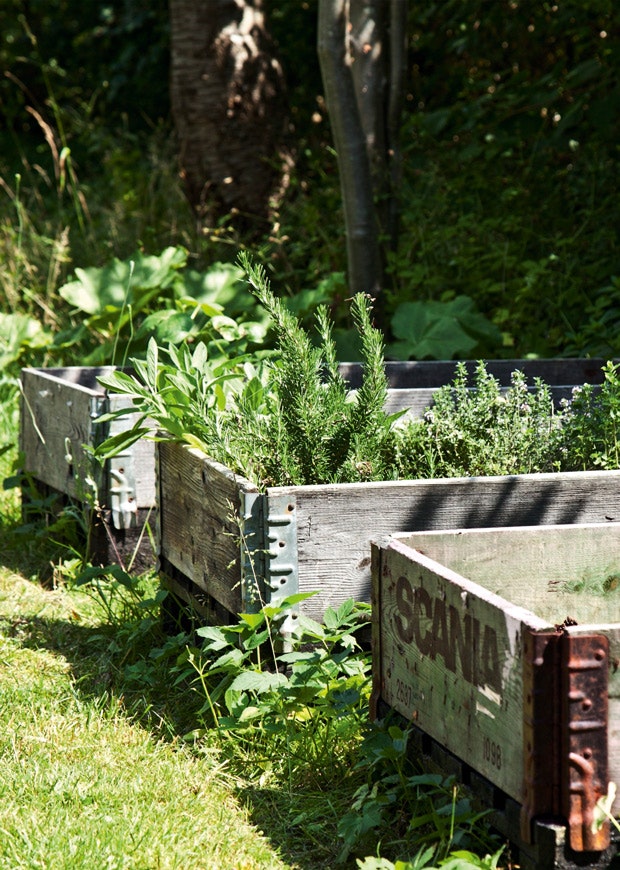 En bæredygtig have, hvor højbedene er lavet af genbrugskasser.