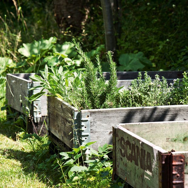 En bæredygtig have, hvor højbedene er lavet af genbrugskasser.
