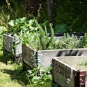 En bæredygtig have, hvor højbedene er lavet af genbrugskasser.