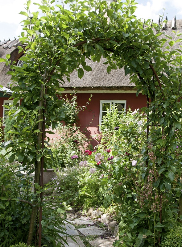 afspejle Æble slap af Blomstrende cottagehave i Allerød | ISABELLAS