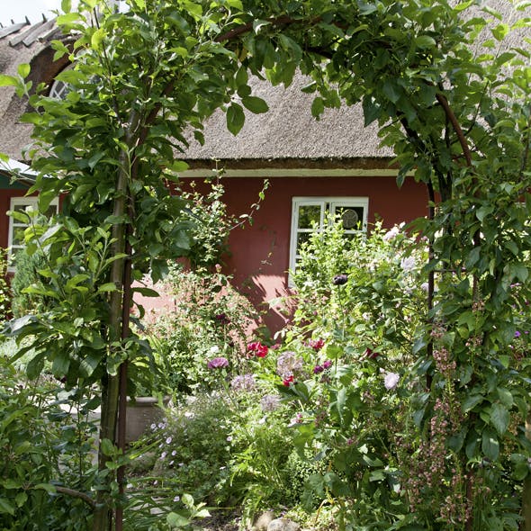 Engelsk cottagehave