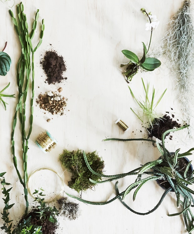 DIY: Pynt med prydplanter 