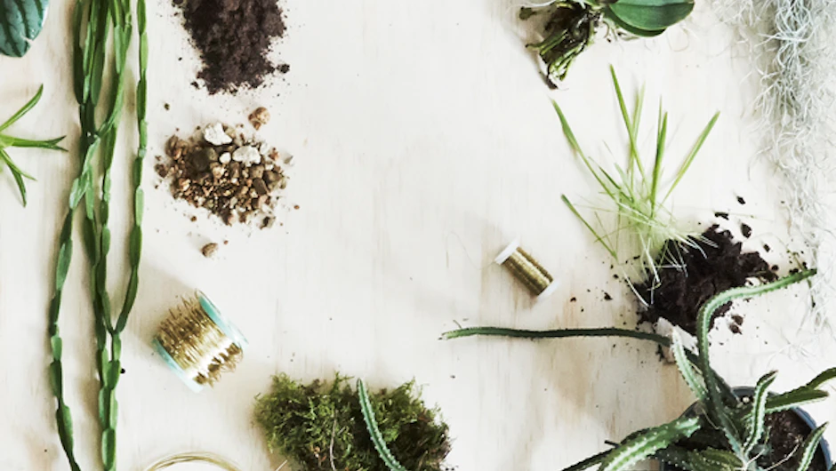 DIY: Pynt med prydplanter | ISABELLAS