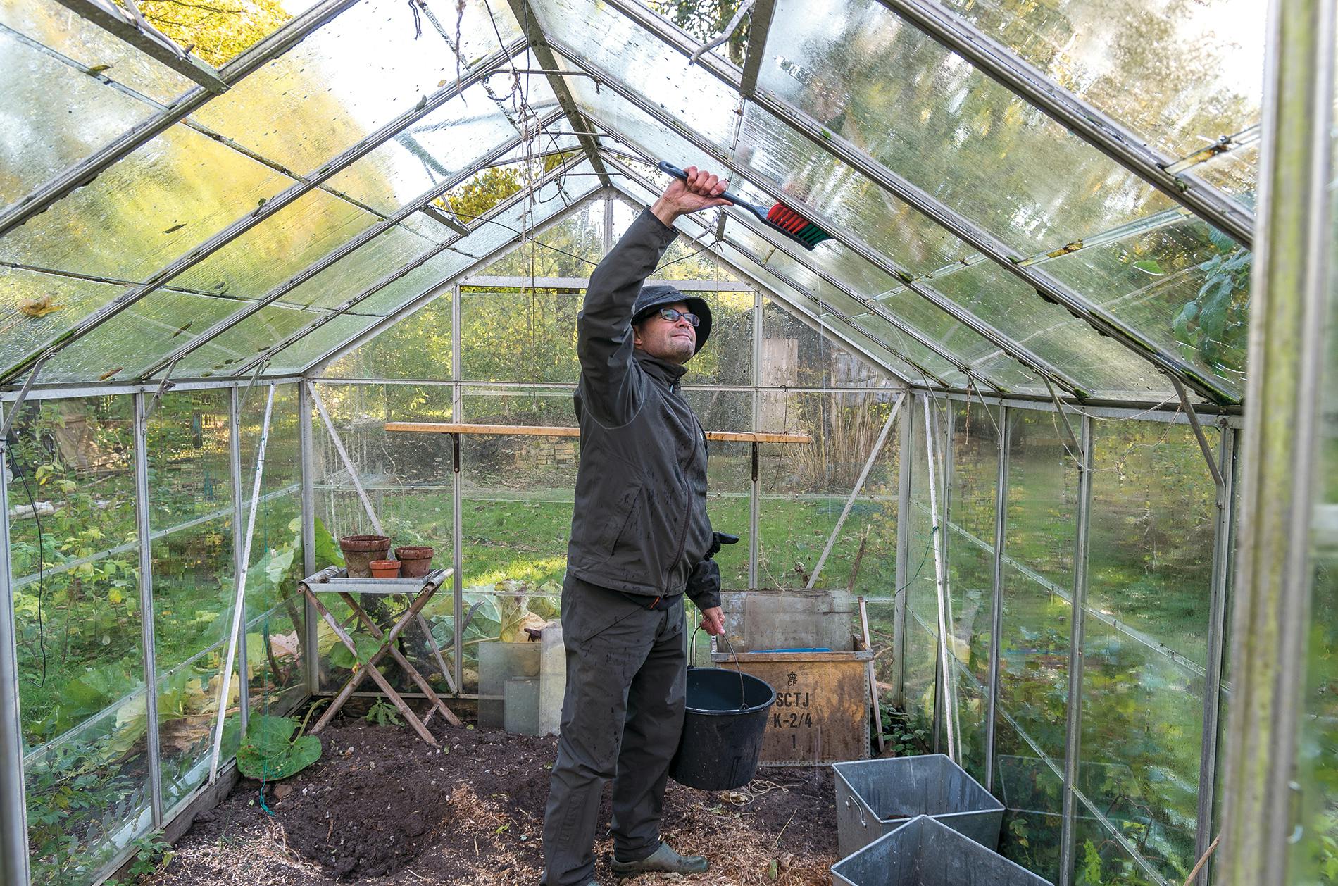 Rengøring af drivhud