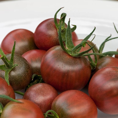 Tomathøsten slog heller ikke fejl i år for mig. Jeg har høstet masser af tomater hele sommeren.