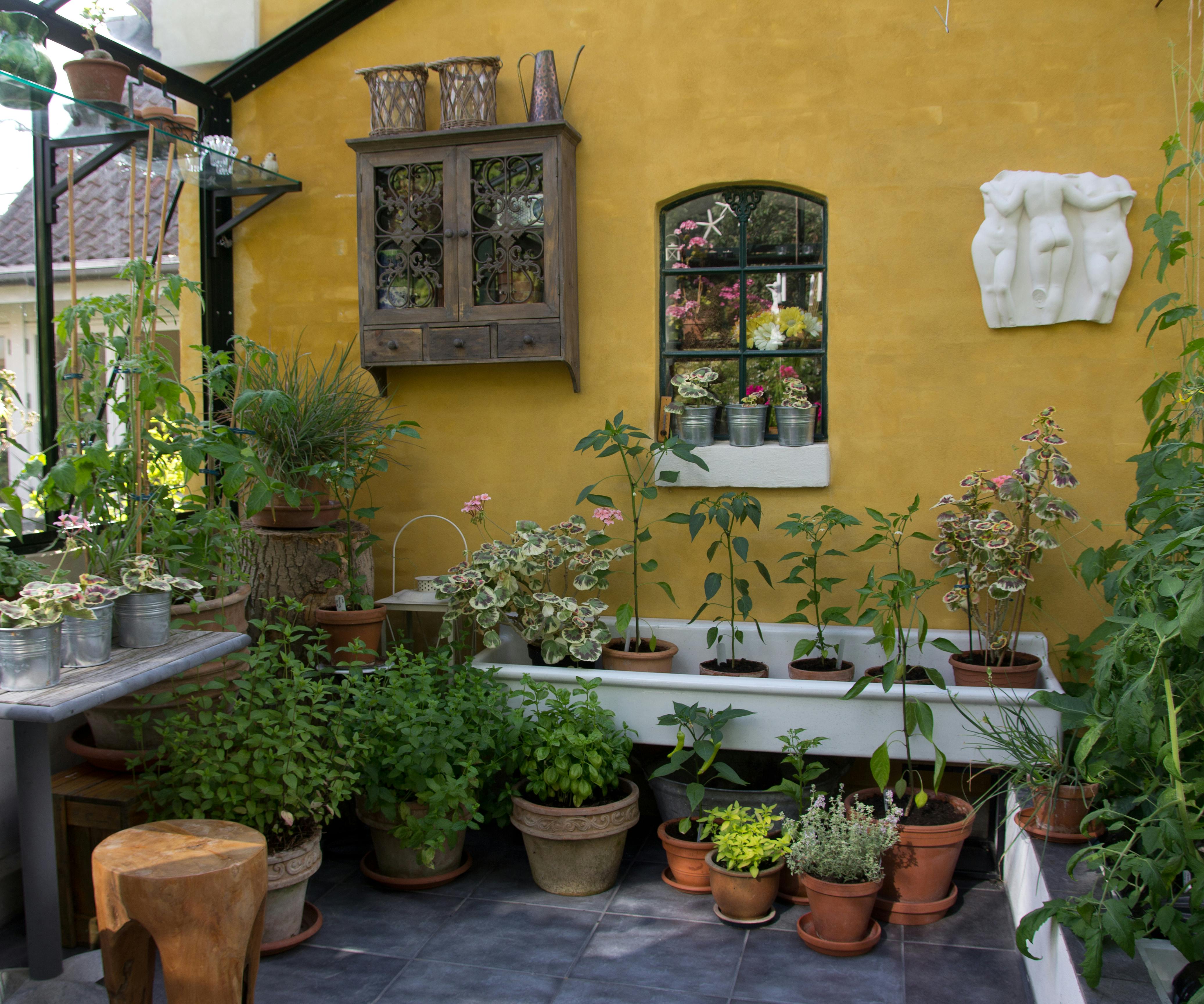 Et drivhus monteret på husets gavl