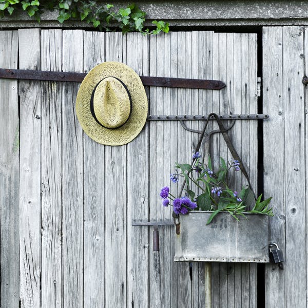 10 fine idéer til haven