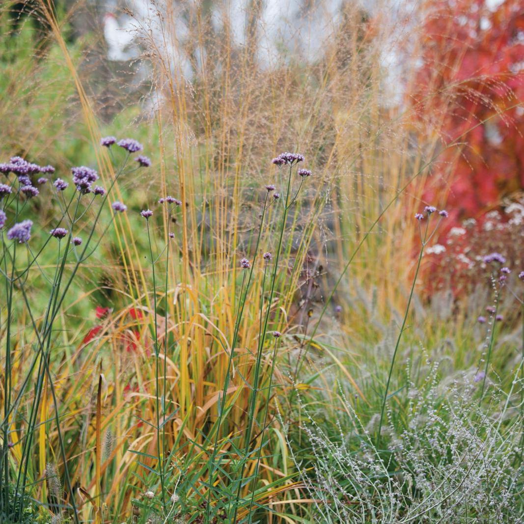 Gøremål i haven i uge 42