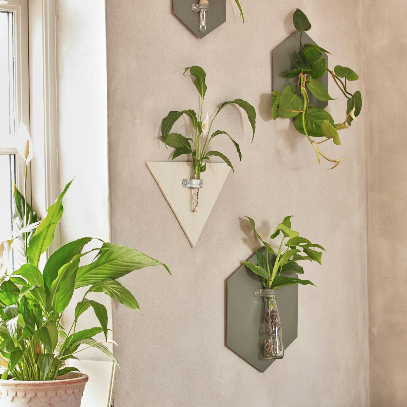 Plantevæg med geometriske planteophæng