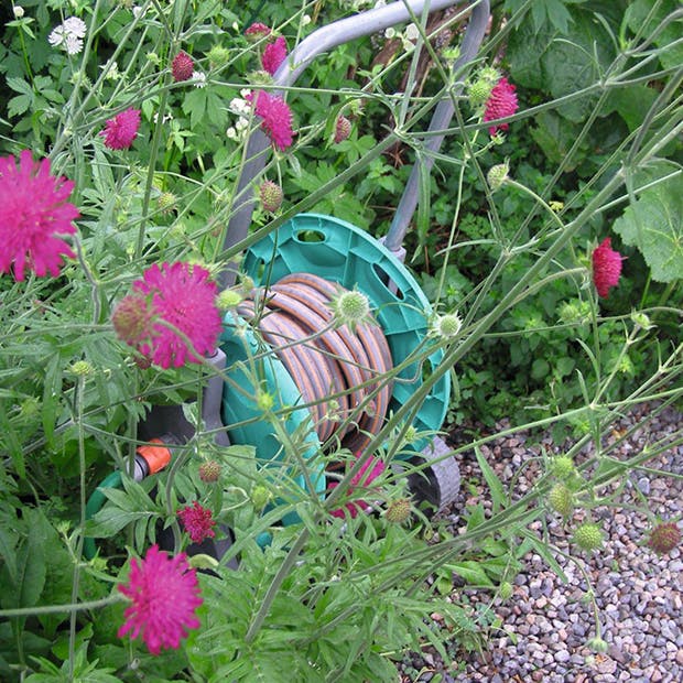 Guide til gode vandvaner