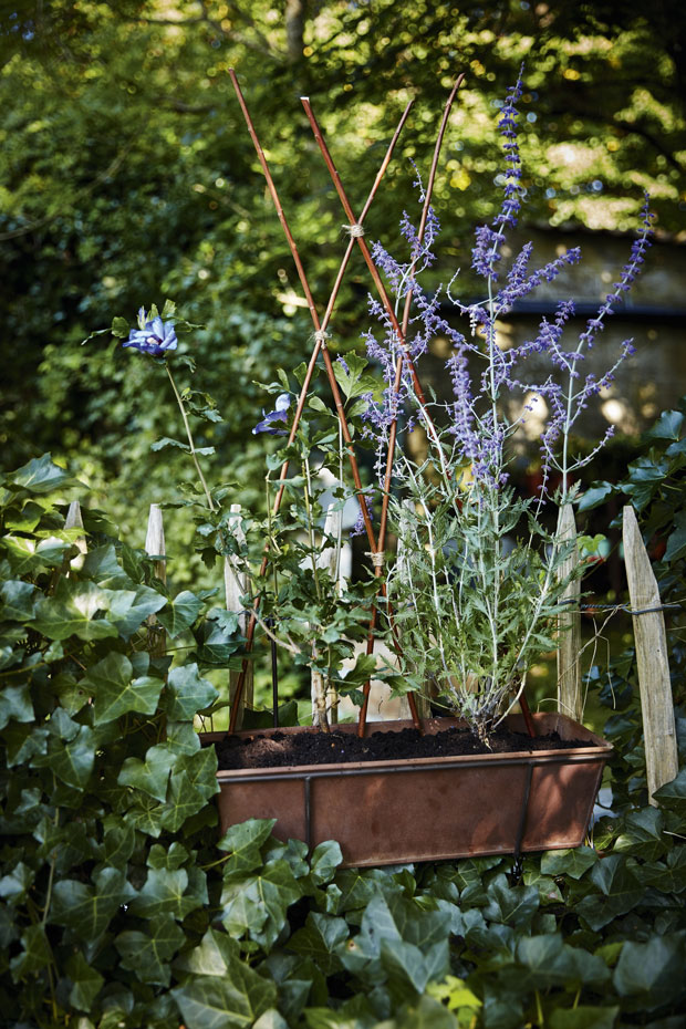 Lav et dekorativt harlekinespalier til din altankasse.