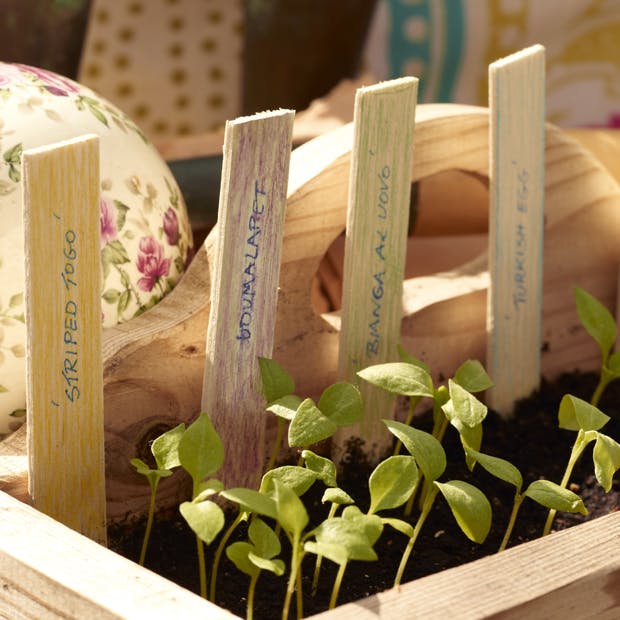 Frø til forårshaven