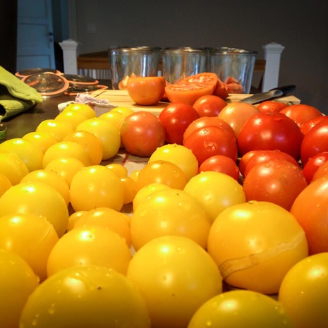 Henkog dine modne tomater, og nyd smagen af sommer hele vinteren igennem.