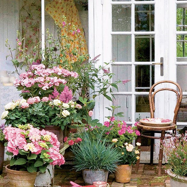 https://imgix.isabellas.dk/media/article/hortensia-1.jpg