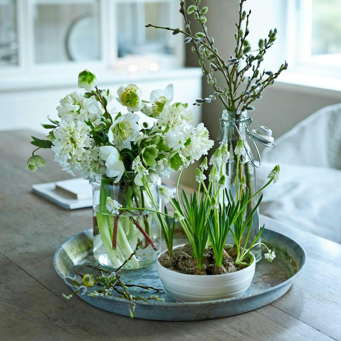 Smukke hvide vinterblomster