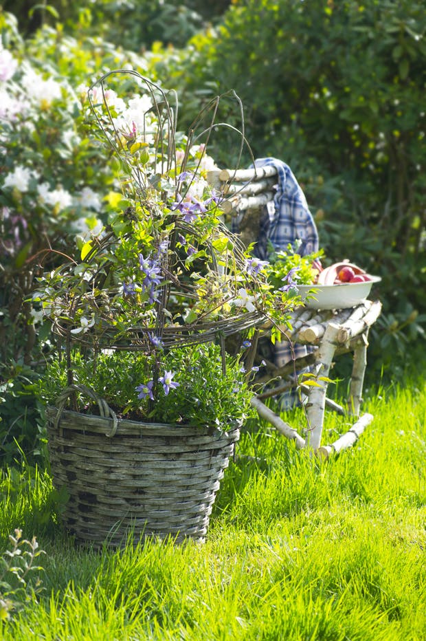 DIY: Espalier til klematis