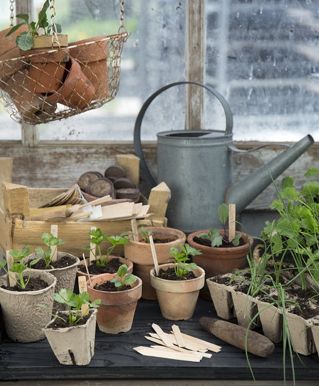 Forspiring i smĂĄ potter