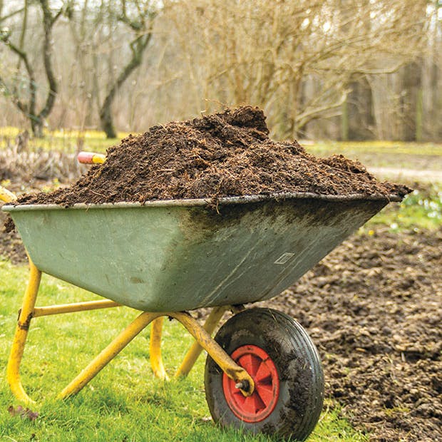 Vinteroprydning i haven