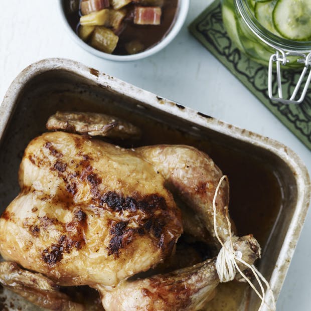 Kylling med rabarber og agurkesalat