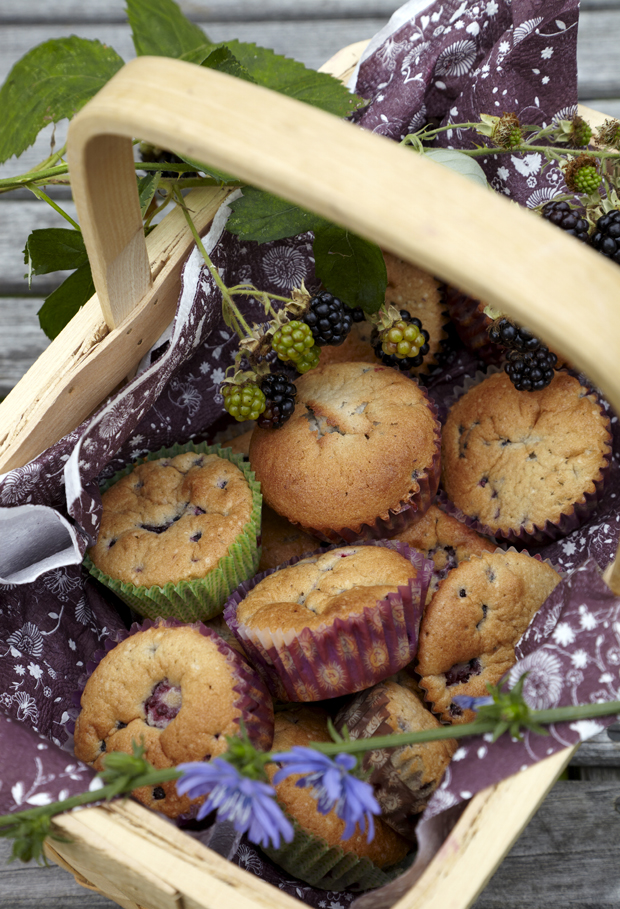 Muffins opskrifter – Nemme, sunde og lækre | ISABELLAS