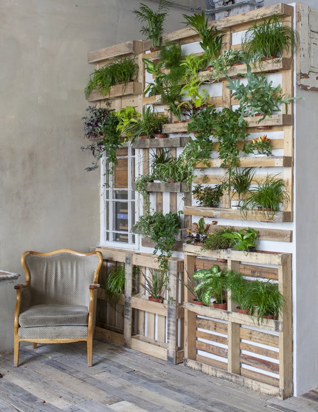 DIY plantevæg lavet af paller