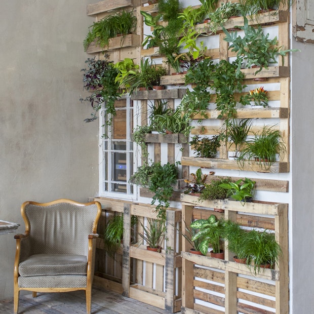 DIY plantevæg lavet af paller