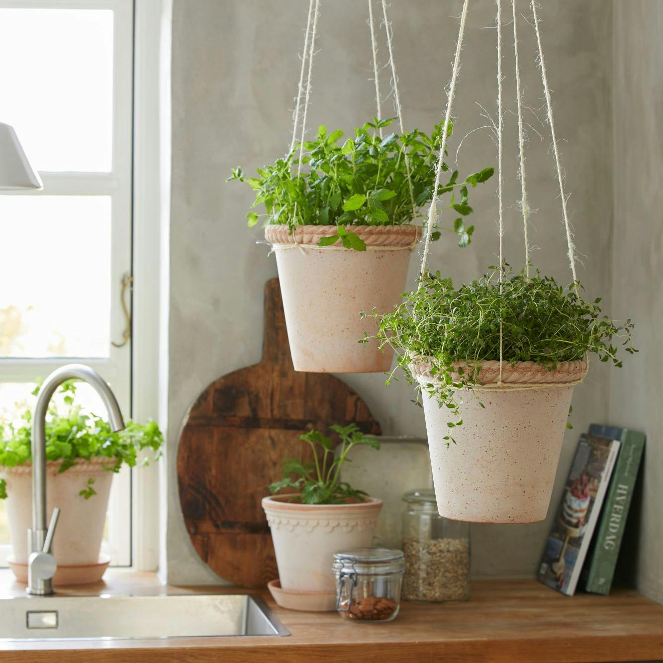 Planteophæng til krydderurter