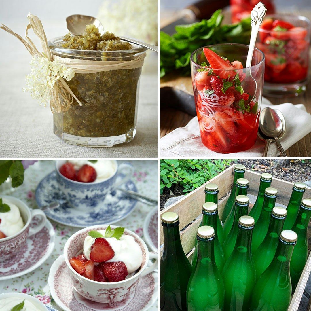 Asparges 10 Opskrifter ISABELLAS Asparges 10 Opskrifter ISABELLAS