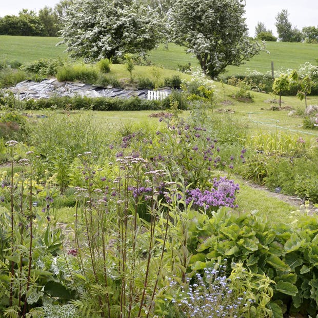 Smuk og nyttig permahave